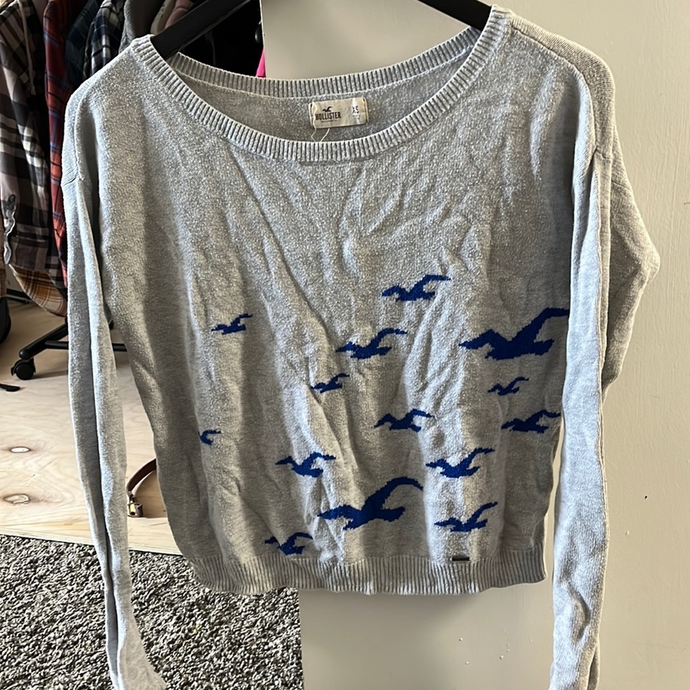 hollister sweater